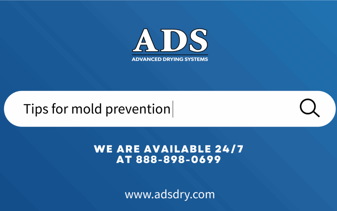 Mold Prevention Strategies