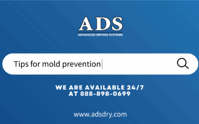Mold Prevention Strategies
